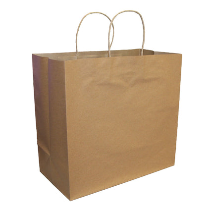 EcoSystems® Kraft Paper Bag With Rope Handle, 14" x 10" x 15.5", 250/Bundle-B2B Discounters