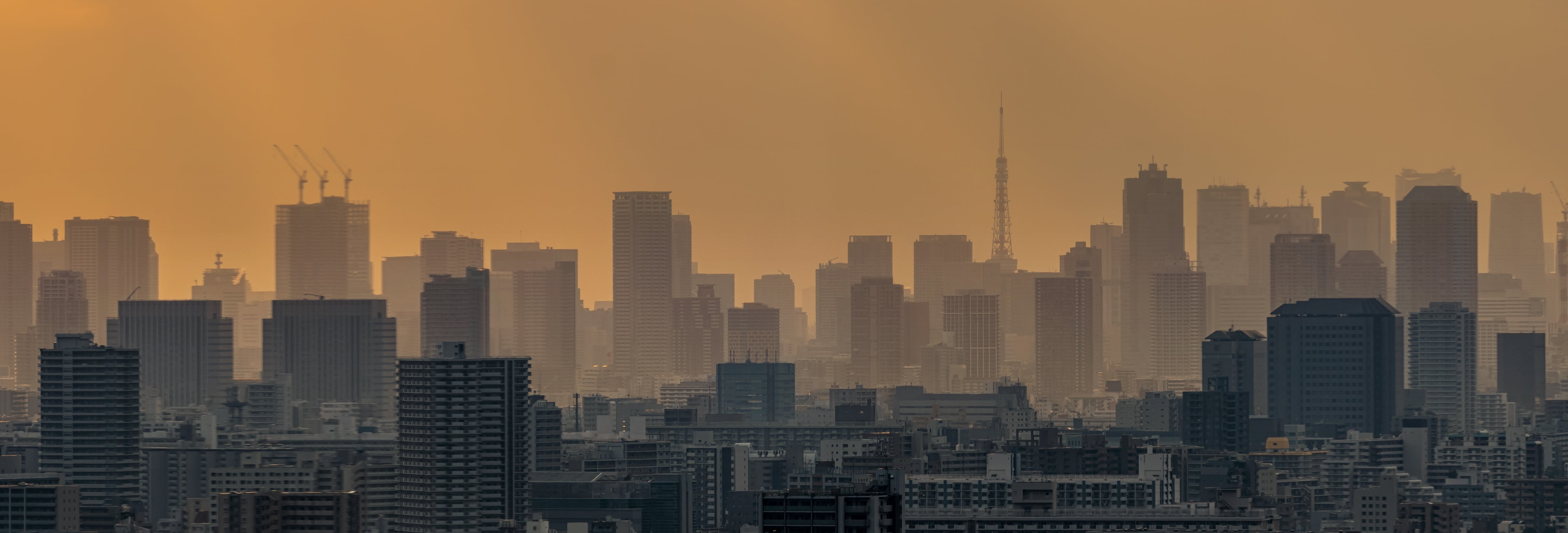 5 Tips on How Canadian Businesses Can Improve Indoor Air Quality During Wildfire Season