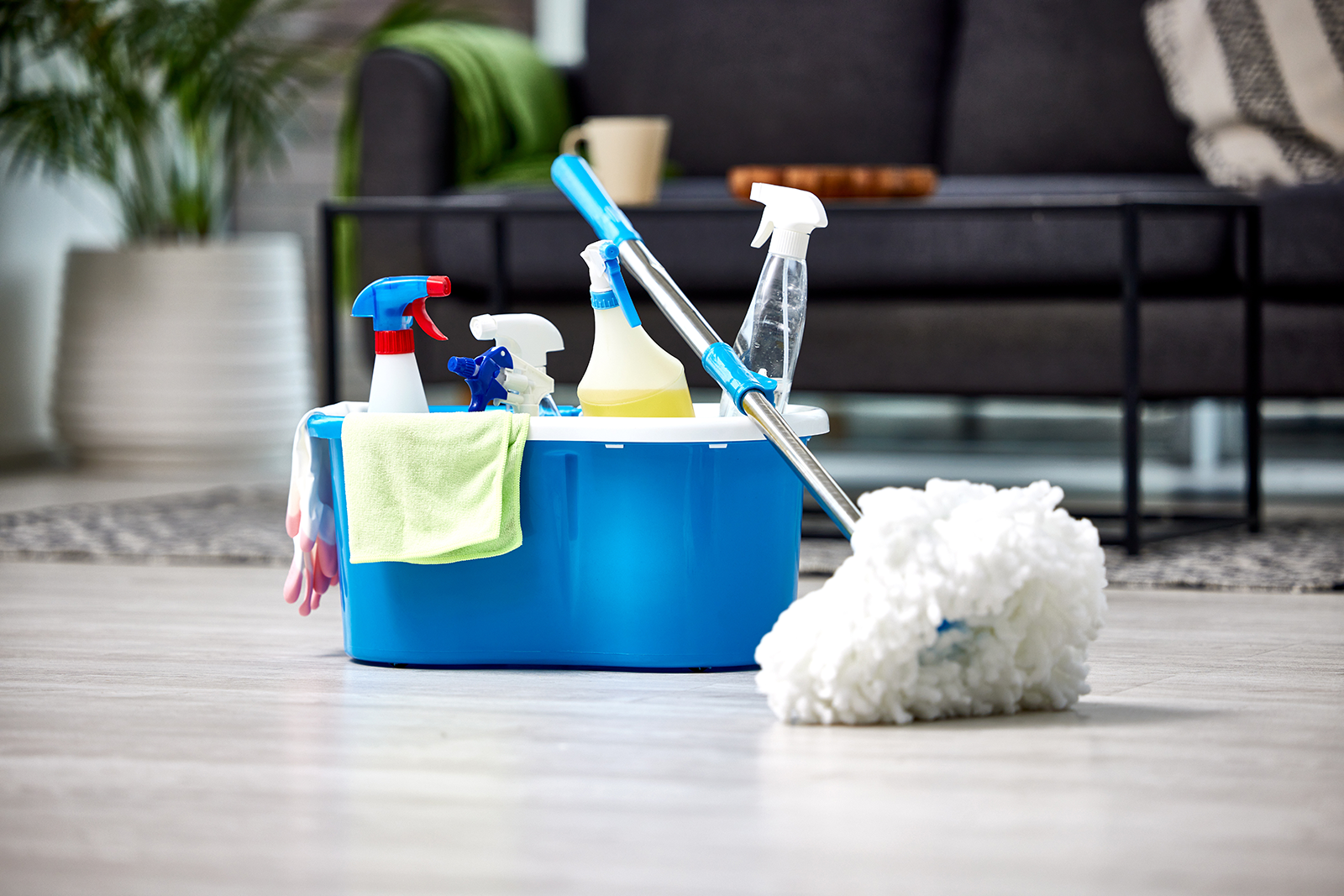 What Makes a Cleaner Truly Multi Purpose?