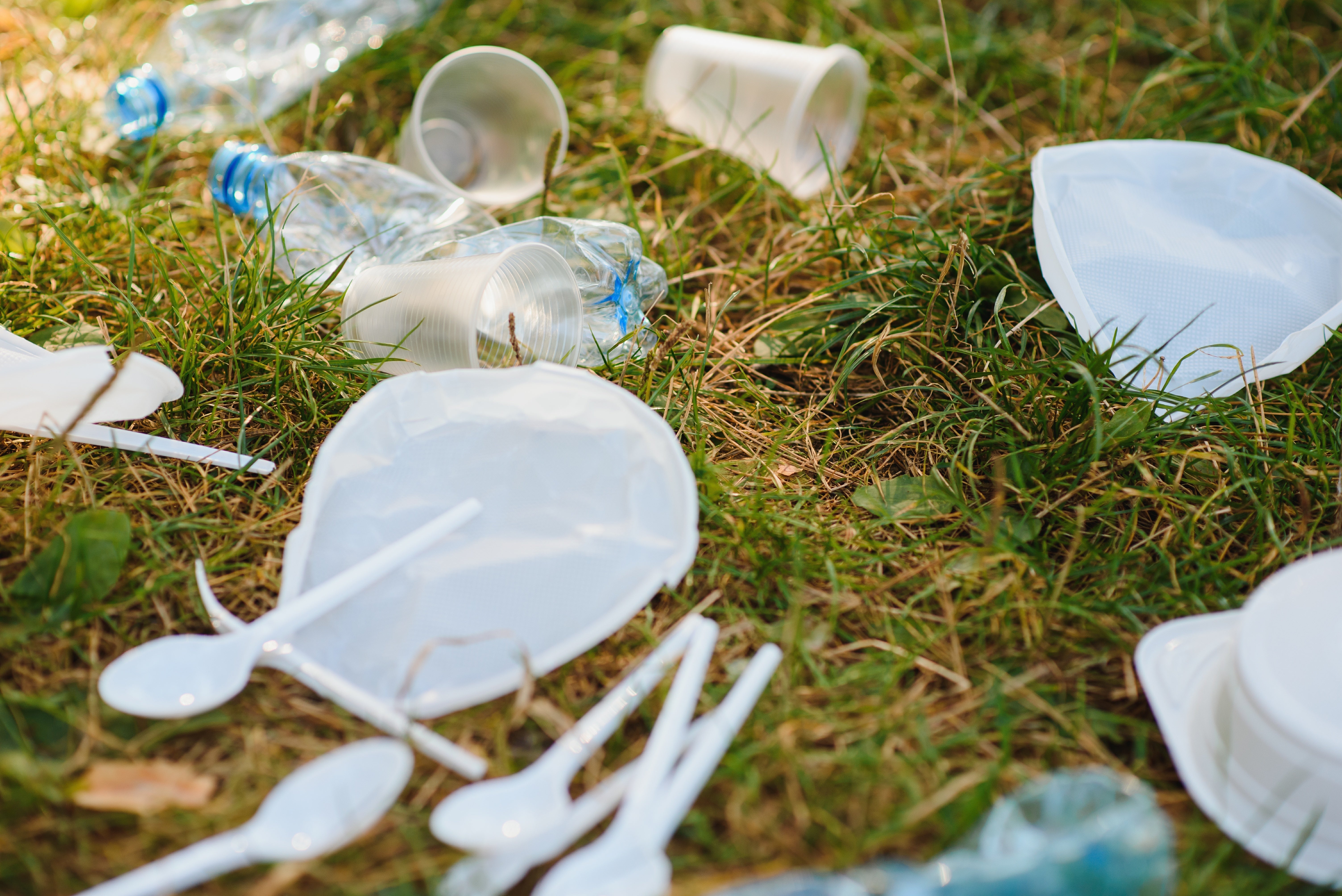 Navigating Canada’s Single-Use Plastic Restrictions - SUP Alternatives Worth Considering