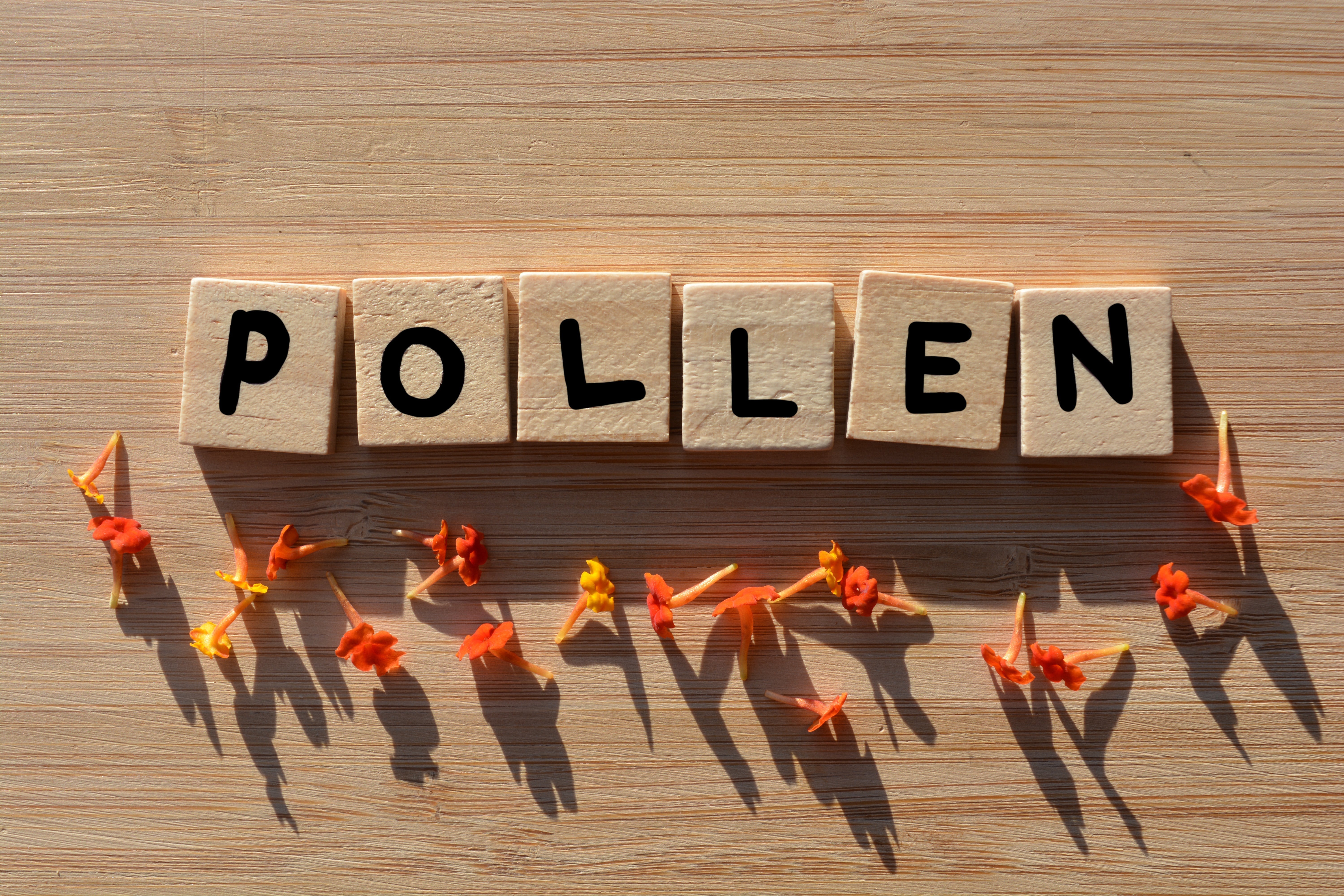 4 Practical Tips to Battle Pollen Season