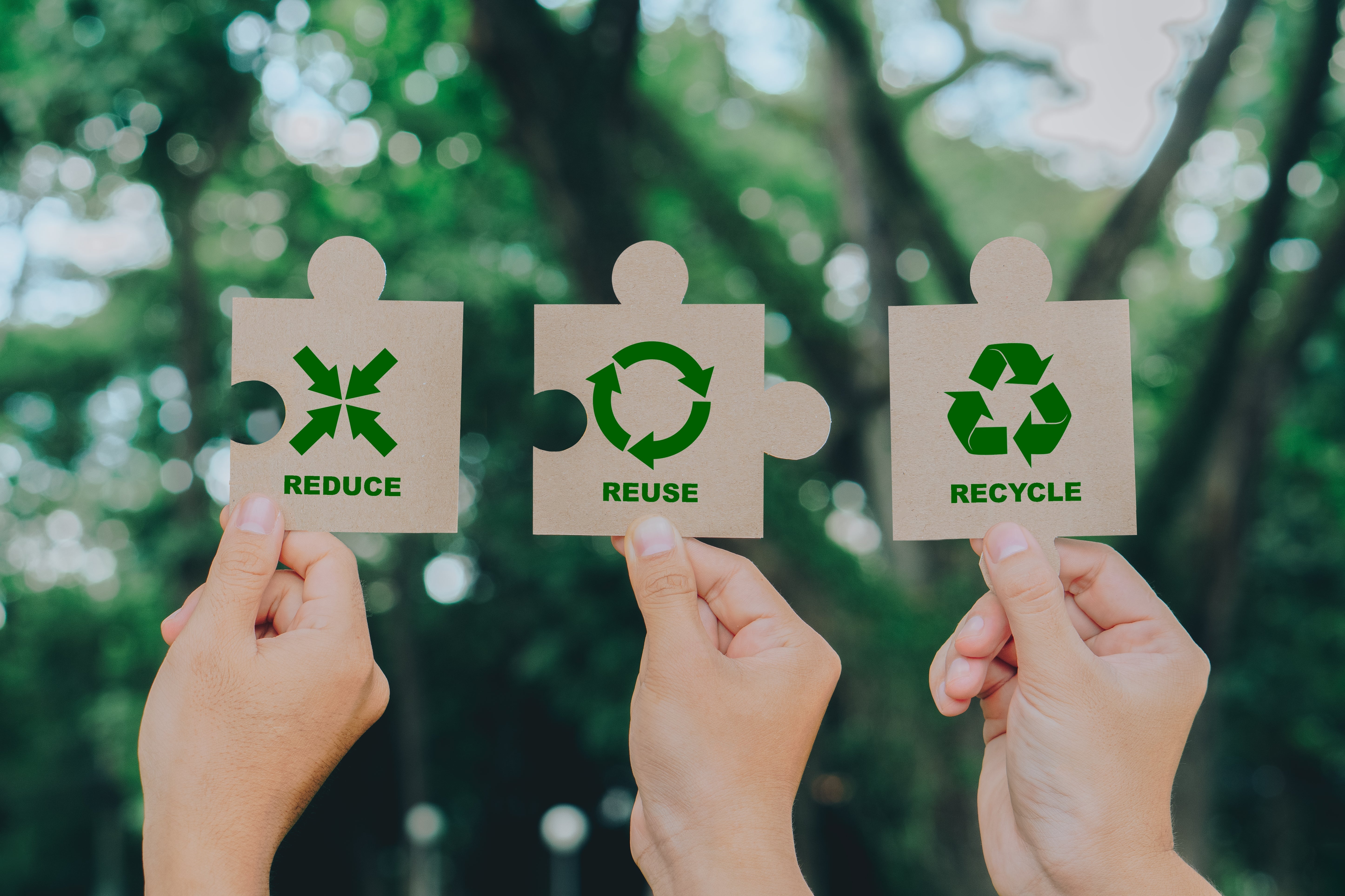 6 Tips on How to Build a Sustainable Cleaning Program for Your Business