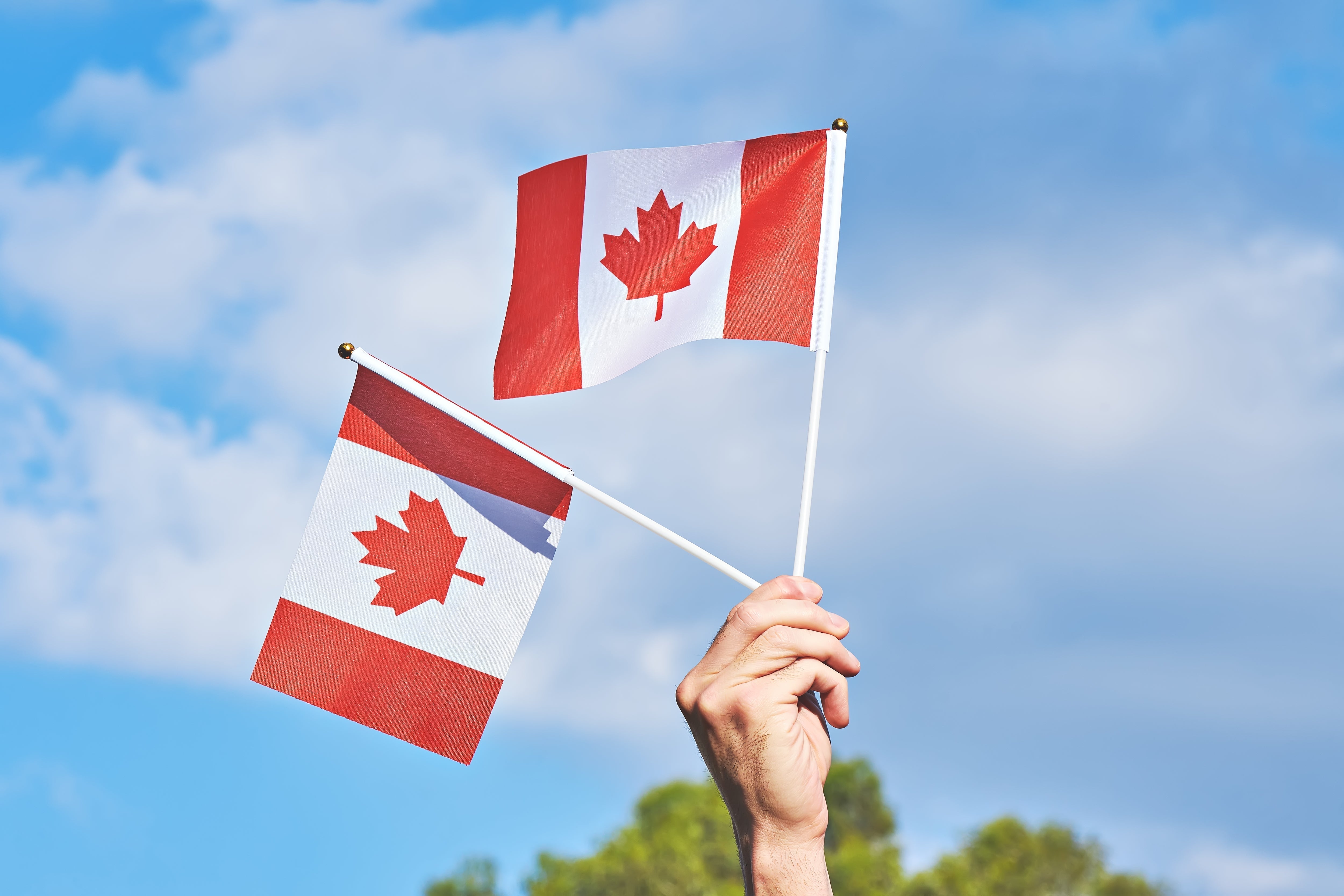 Celebrate Canada Day with Proudly Canadian-Made Supplies for Your Business