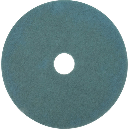 3M™ Burnish Pad 3100 Series, Aqua, 28", Sold Individually-B2B Discounters