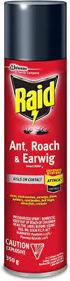 Raid® Ant, Roach & Earwig Insect Killer, 350 g, 12/Case-B2B Discounters