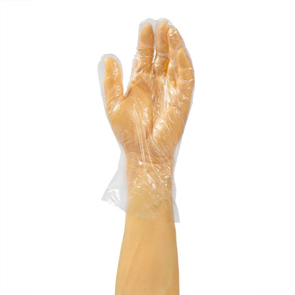 511 Food Service™ Poly Disposable Gloves, Small, 500/Case-B2B Discounters