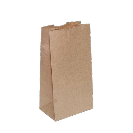 Light Bag, 3lb, Kraft, C/R Style, 500/Bundle-B2B Discounters