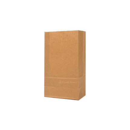 Light Bag, 6lb, Kraft, C/R Style, 500/Bundle-B2B Discounters