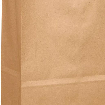 Kraft Light Paper Bag, 20 lb, 500 Bags/Bundle-B2B Discounters