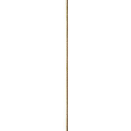 EcoSystems® Unwrapped Skewer, Brown, 250 x 3.8 mm, 100/Pack-B2B Discounters