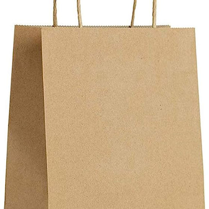 EcoSystems® Kraft Paper Bag With Rope Handle, 10" x 5" x 13", 250/Bundle-B2B Discounters