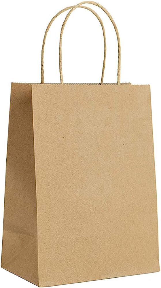 EcoSystems® Kraft Paper Bag With Rope Handle, 10" x 5" x 13", 250/Bundle-B2B Discounters