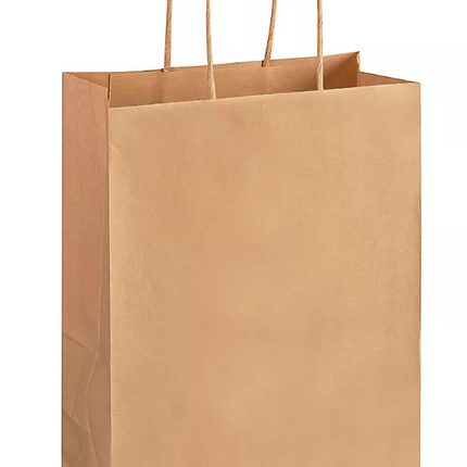 EcoSystems Kraft Paper Bag With Rope Handle - 10" x 5" x 13", 250/Bundle
