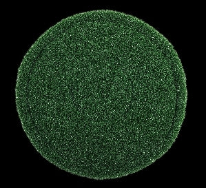 Floor Pad - TurfScrub, 20", Sold Individually