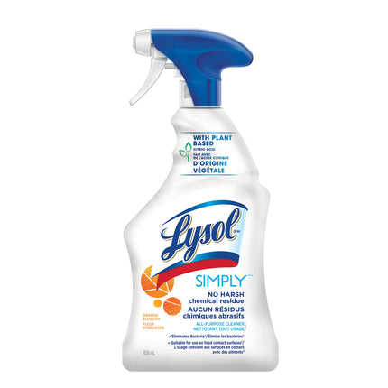 Lysol® All Surface Cleaner, Orange, 12/Case